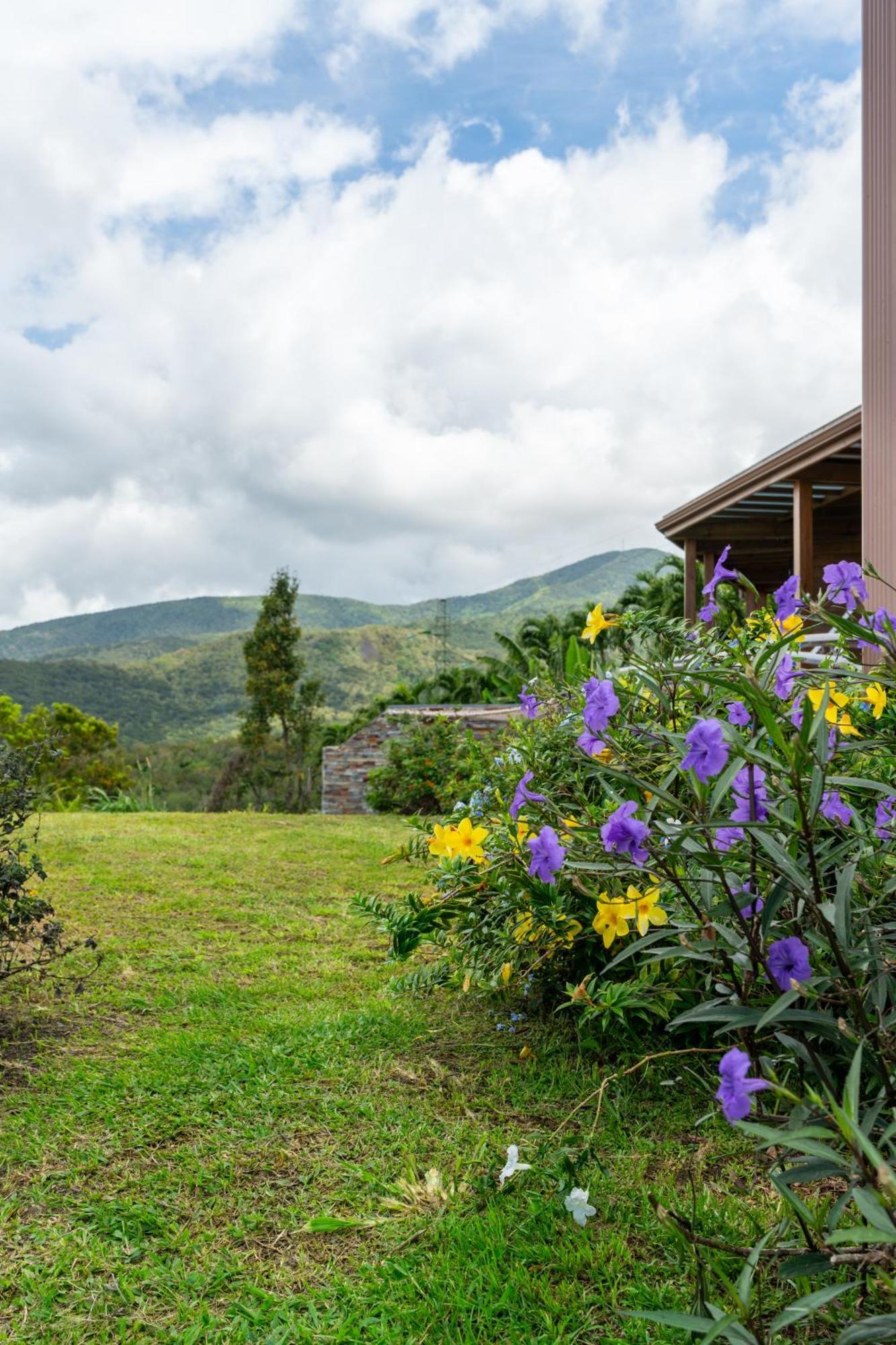 Calypso Bay Villa Bouillante Exterior foto